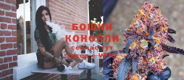 дурь Белокуриха