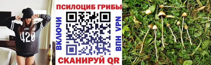 Галлюциногенные грибы MAGIC MUSHROOMS  купить наркоту  Оха 